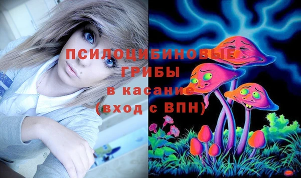 гашик Аркадак